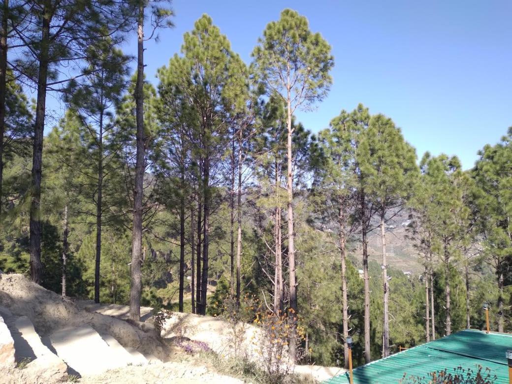 Nature Villaas Basa Homestay Pauri 外观 照片
