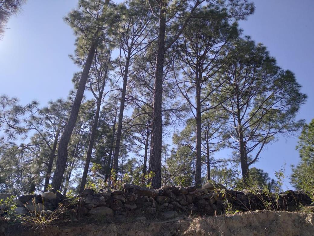Nature Villaas Basa Homestay Pauri 外观 照片