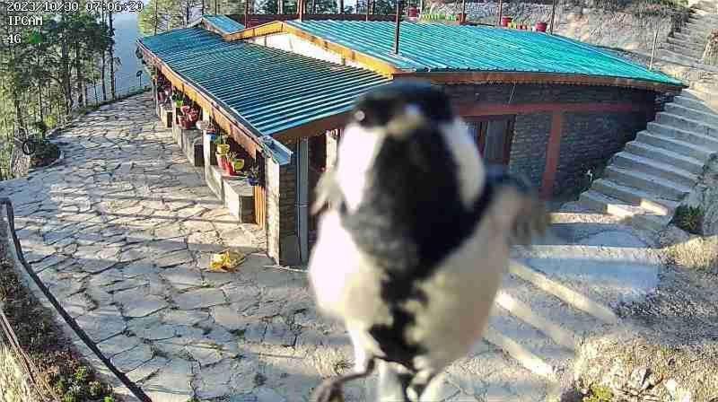 Nature Villaas Basa Homestay Pauri 外观 照片